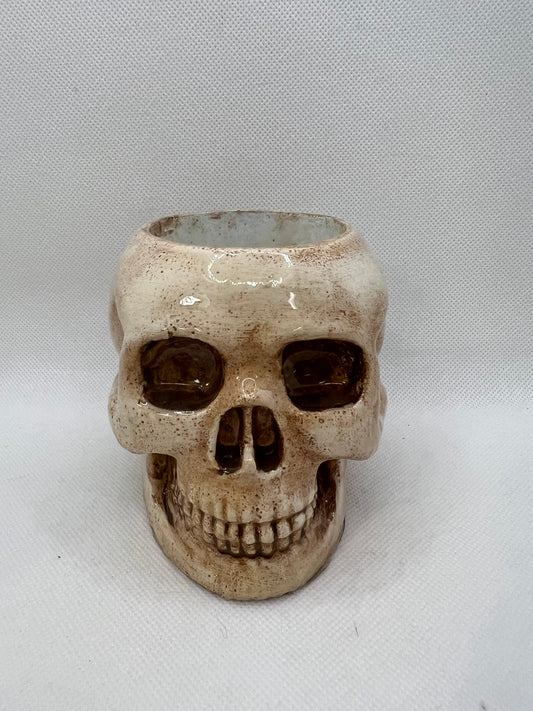 Concrete Medium Bone Skull