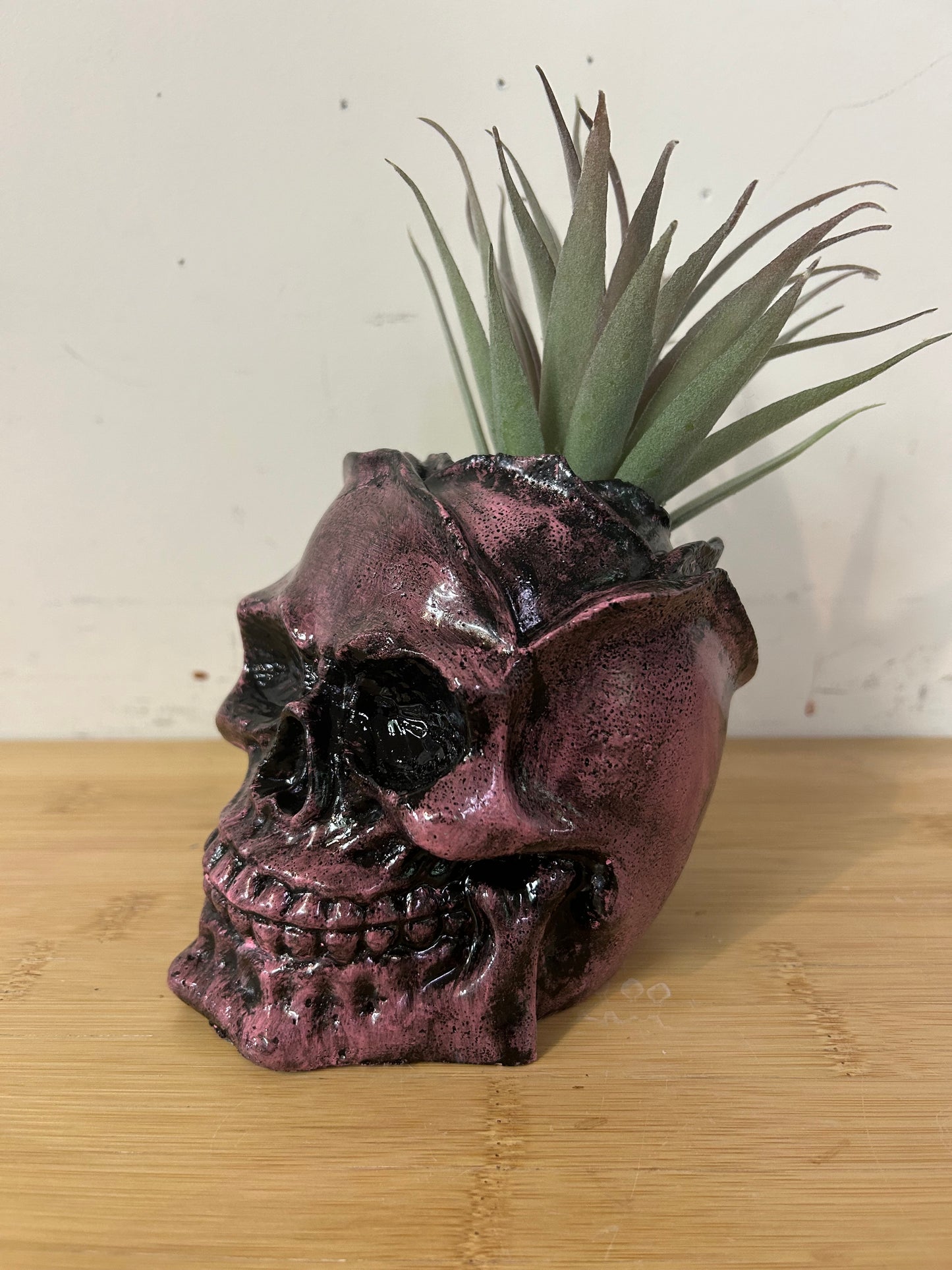 Pink Rose Skull (green plant)