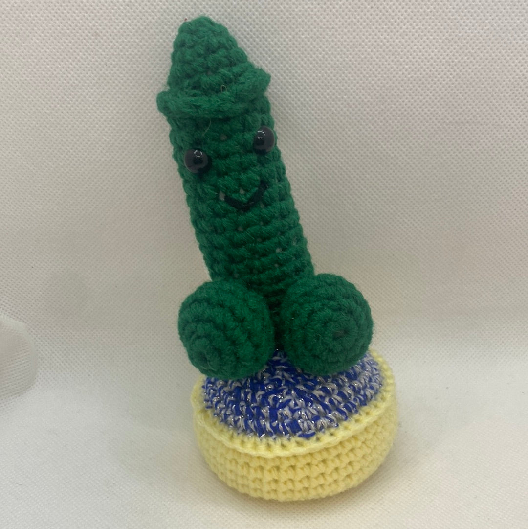 Prickley Cactus