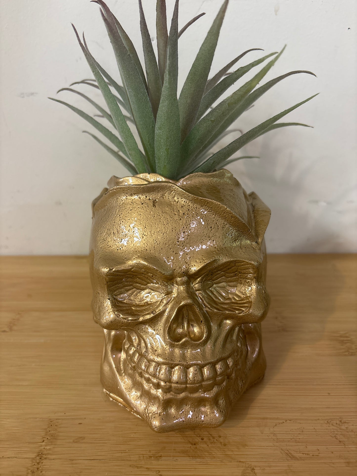 Concrete Gold Rose Skull ( plant not included)