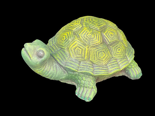 Turtle - 1