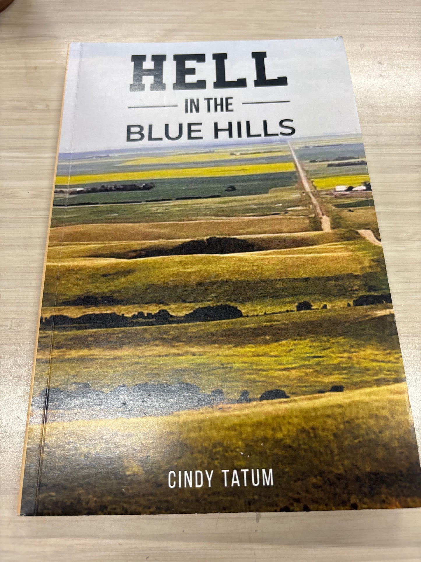 Hell in the Blue Hills Novel