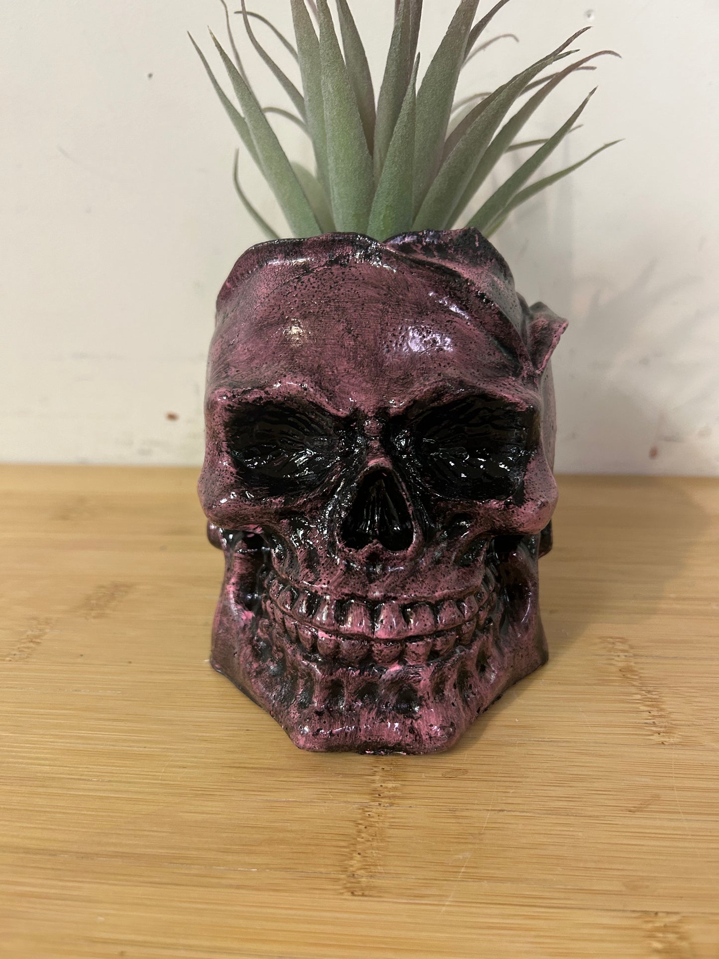 Pink Rose Skull (green plant)