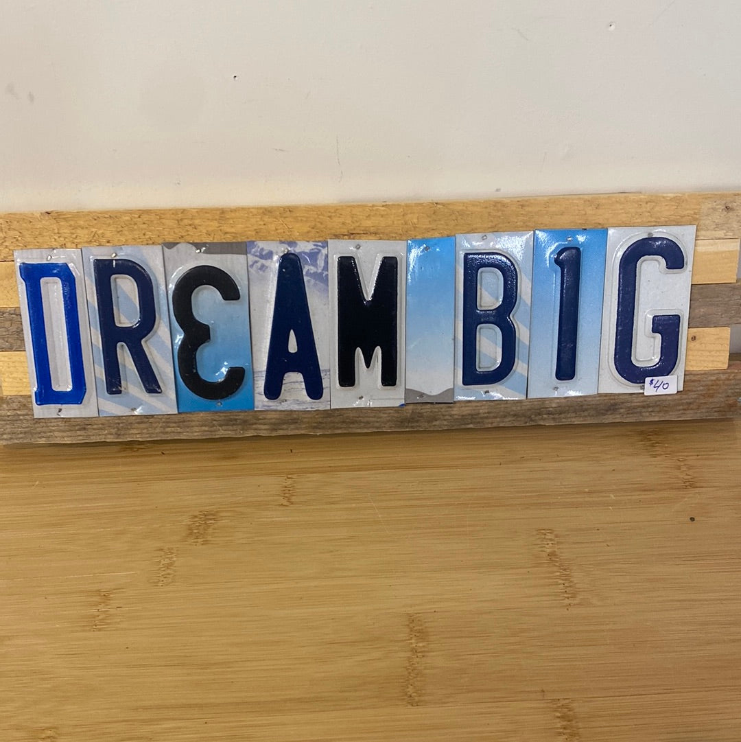 License Plate- Dream Big