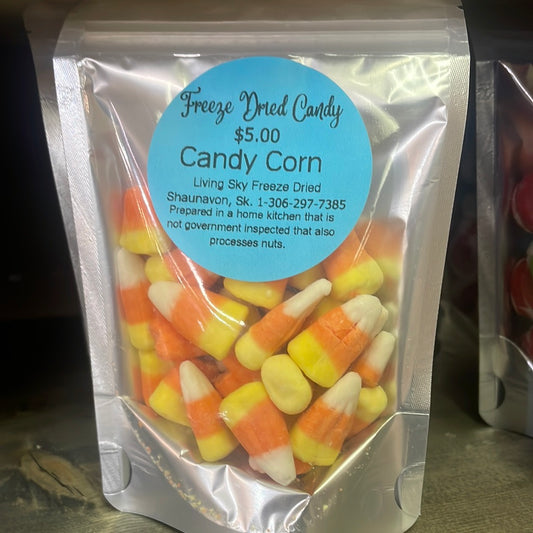 Freeze Dried - Candy Corn