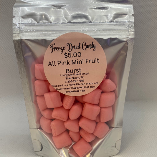 Freeze Dried - Pink Mini Fruit Burst