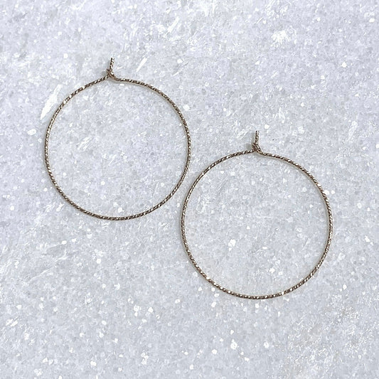 EST053-GF Sparkle Hoop Earrings - 1