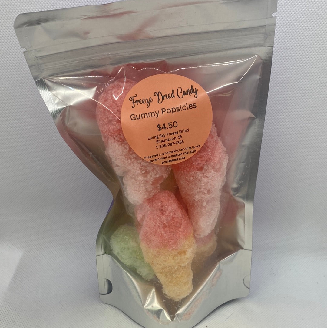 Freeze Dried - Gummy Popsicle - 1